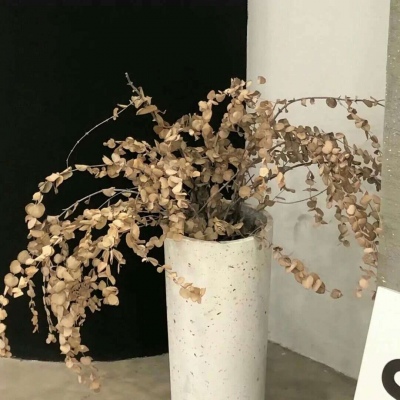 松桃福瑞交流群